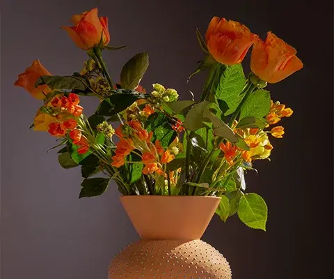 Casi Paped’de %30'a varan indirim ayrıcalığı!